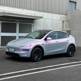 Glossy Gray Pink Color PPF